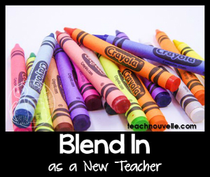 Whether you are a first-year teacher, a military spouse, or a veteran teacher moving to a new job, being the new teacher in a school can be intimidating. Check out this blog post for tips to succeed as the new teacher on the block. From teachnouvelle.com.