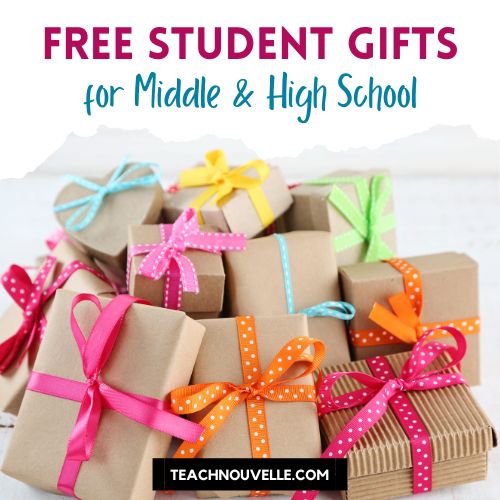 12 Fun Ideas for Cheap End-of-Year Gifts for Students from Teachers