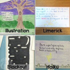 Creative Poetry Activities - Limerick, Haiku, Blackout, and Illustration - Image 2