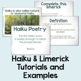 Creative Poetry Activities - Limerick, Haiku, Blackout, and Illustration - Image 4