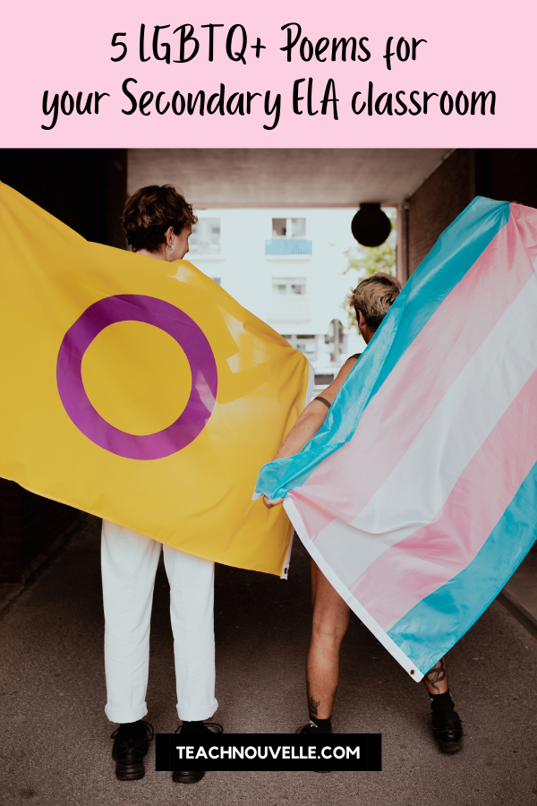 Two individuals stand side by side with their backs facing us. One is holding the Intersex flag (yellow with a purple circle in the center) and the other is holding a Trans flag (blue line followed by a pink line then a white line, pink, and blue).