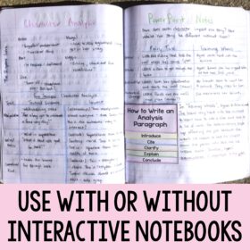 Effective Introduction to Character Analysis - PPT & Essay - - Image 2