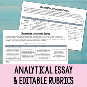 Effective Introduction to Character Analysis - PPT & Essay - - Image 4